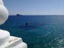 Benidorm 071