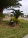 Alicante 25-4 029