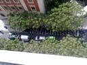 Alicante 9-5 065
