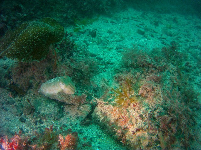PICT0057