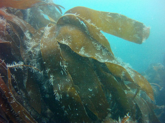 PICT0740