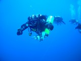AMBA0113