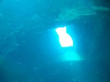 AMBA0131
