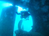 AMBA0208