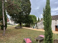 IMG_8806