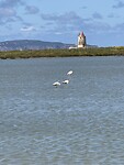 IMG_0029