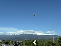 IMG_0207