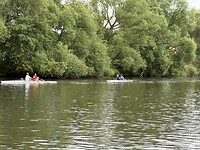 IMG_0748