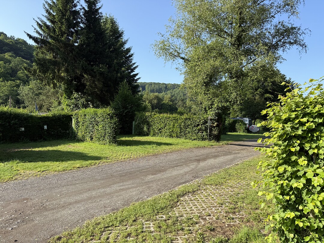 IMG_0843