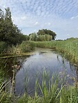 IMG_1192