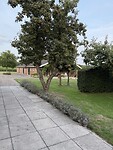 IMG_1184