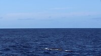 f8f63976-95e4-4457-807d-b35863f4fa2c