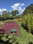 IMG_3234
