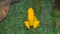 9f82c13c-aaa4-4fa0-8600-05240aa0d8ec