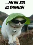 BA23A4F5-11F0-483E-8920-975ECA77A458