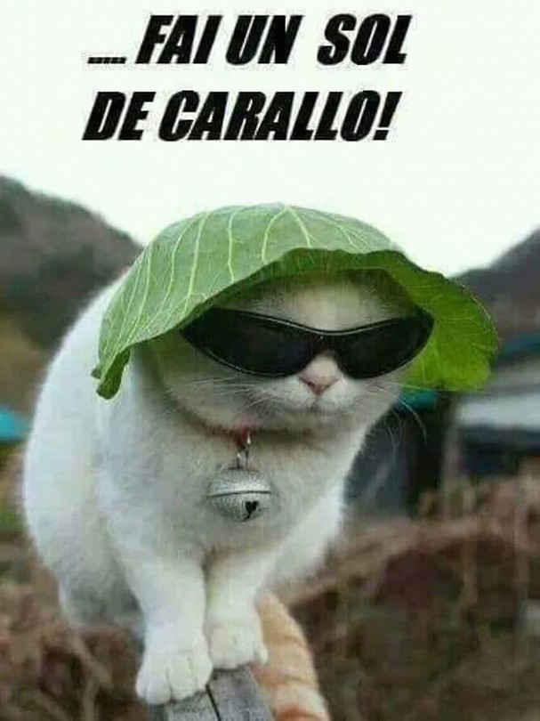 BA23A4F5-11F0-483E-8920-975ECA77A458