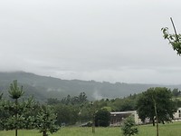 17B79CC5-69CF-42E2-9223-90D3ECCED7AC
