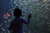 Florida Aquarium