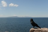Yellowstone Lake I