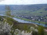 P1050857
