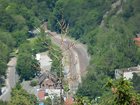 DSCN0004