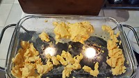 IMG-20190615-WA0028