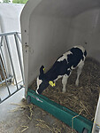 Afbeelding van WhatsApp op 2025-06-10 om 15.13.13_3a193698