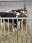 Afbeelding van WhatsApp op 2025-06-10 om 15.13.13_3b416e6c