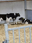 Afbeelding van WhatsApp op 2025-06-10 om 15.13.13_3f73341d