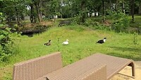 Video van WhatsApp op 2025-06-10 om 15.13.11_47e9a97c