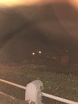 92CA7A0D-74B4-4707-A082-2B5B22C940E9