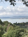 B2459C37-2D59-40E4-8EC2-B14EE1582697
