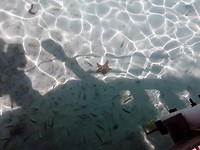 20170311_110146