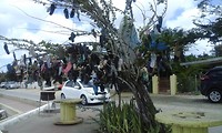 20170317_111324
