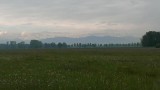 de Alpen komen in het zicht