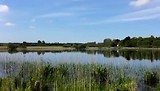 Natuur clipjes DK