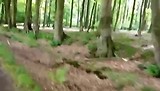 Door het bos
