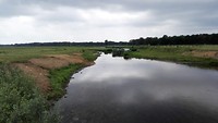 Riviertje de Vecht