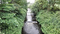 Vistrap in riviertje de Vecht