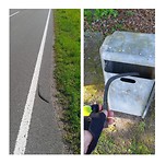 Zwerfvuil opruim actie