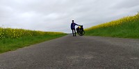 Tussen de velden met koolzaad