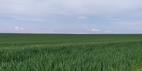Teletubbie land?