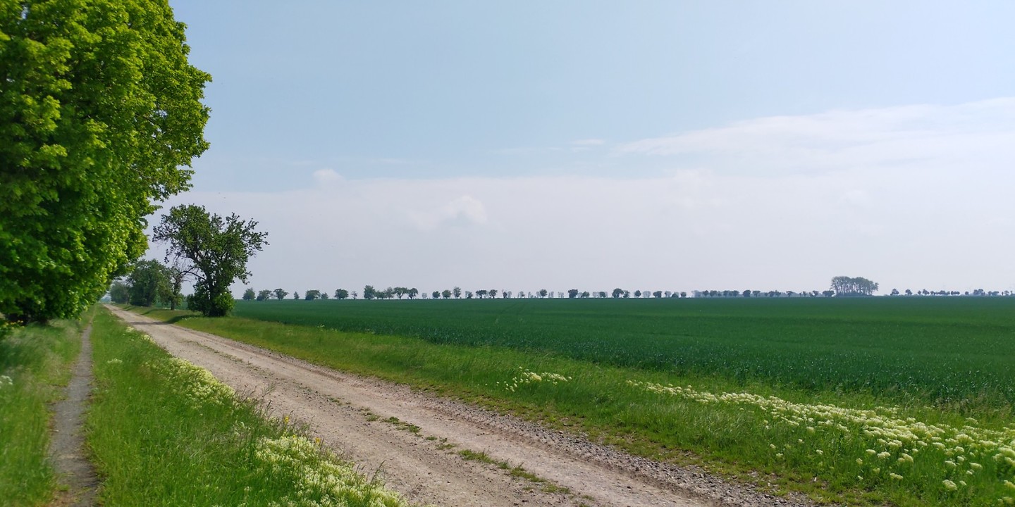 Vergezichten heuvels bij Straßfurt