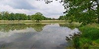 Natuurgebied langs de Elbe bih Dessau