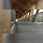 Brug in natuurpark bij Wörlitz
