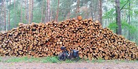 Stapels hout hier...