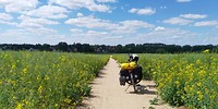 Mooi pad