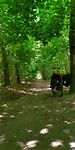 Paadje door een of ander stadspark