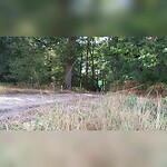 Banjeren door het zand