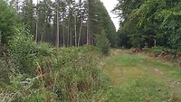 Koffie break in Reichswald